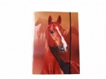 file folder